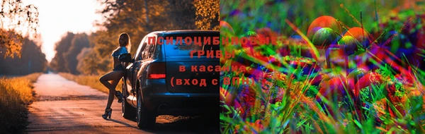 амф Баксан
