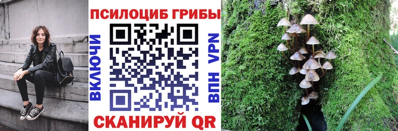 Псилоцибиновые грибы Magic Shrooms Ильский